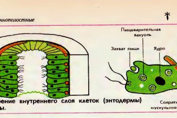 Кракен зеркало маркетплейс