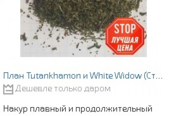 Kraken onion darknet zerkalo